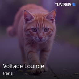 Voltage Lounge