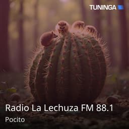 Radio La Lechuza FM 88.1