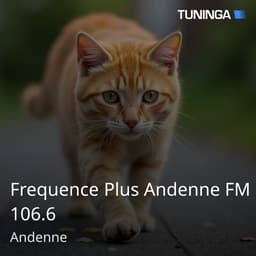 Frequence Plus Andenne FM 106.6
