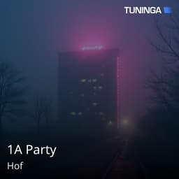 1A Party