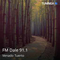FM Dale 91.1