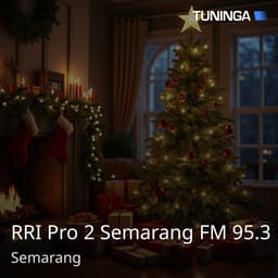 RRI Pro 2 Semarang FM 95.3