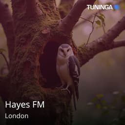 Hayes FM