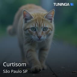 Curtisom