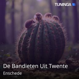 De Bandieten Uit Twente