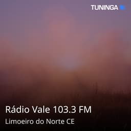 Rádio Vale 103.3 FM