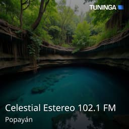 Celestial Estereo 102.1 FM