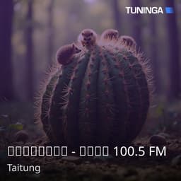 國立教育廣播電臺 - 臺東分臺 100.5 FM