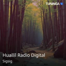 Huallíl Radio Digital