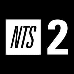 NTS 2