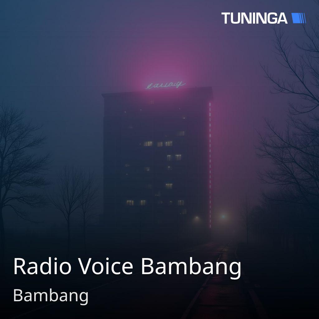 Radio Voice Bambang