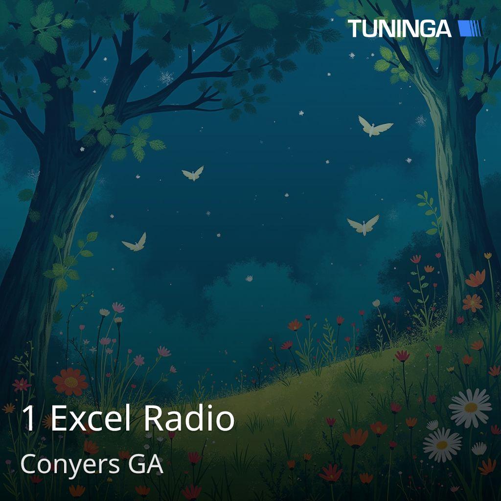 1 Excel Radio