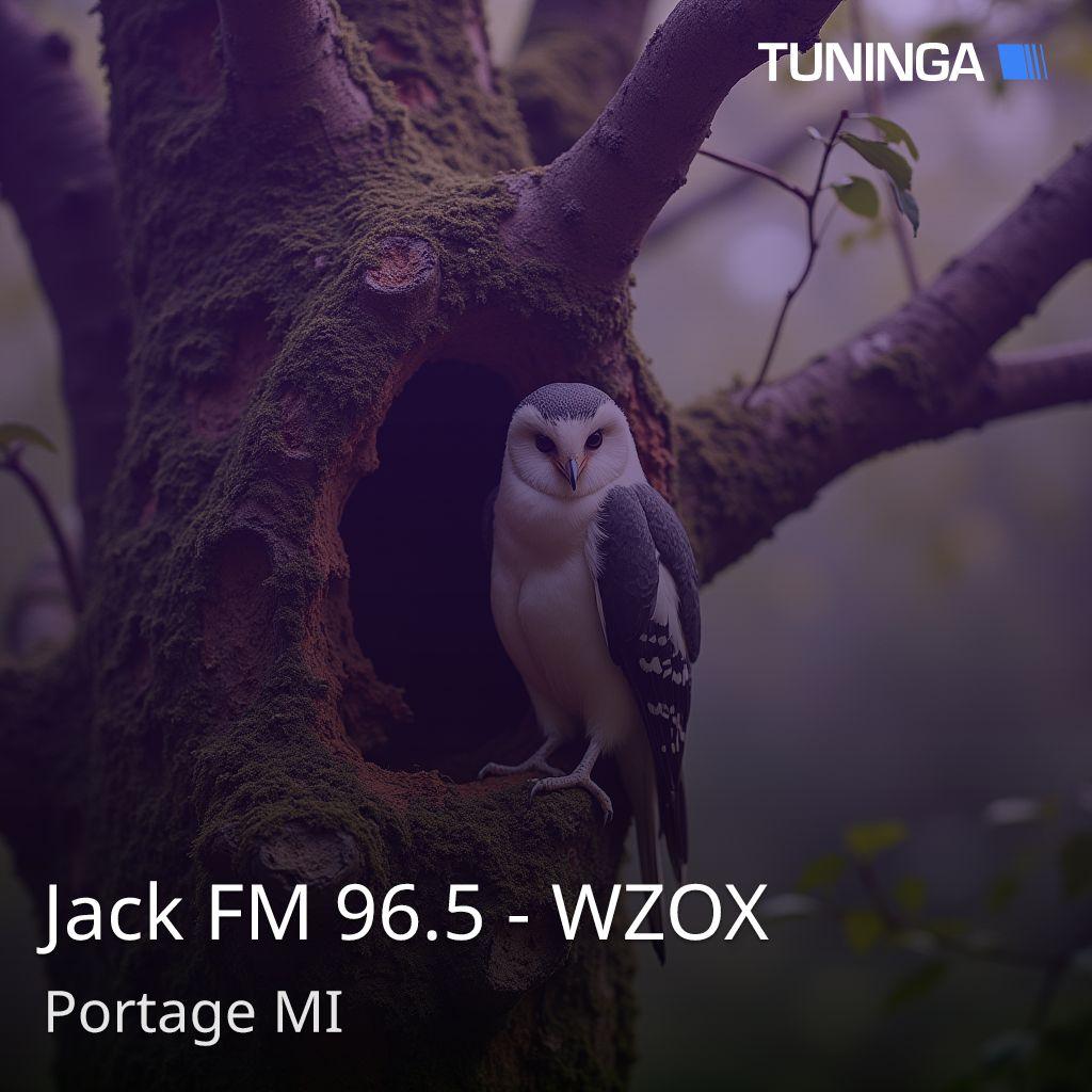 Jack FM 96.5 - WZOX