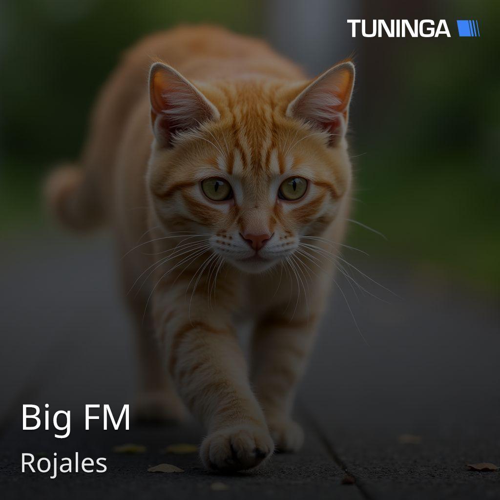 Big FM