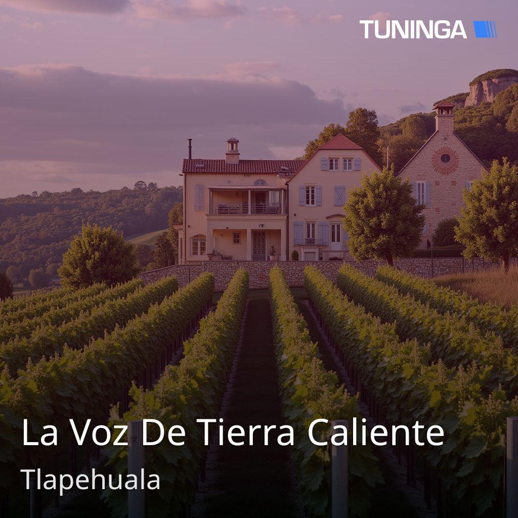 La Voz De Tierra Caliente