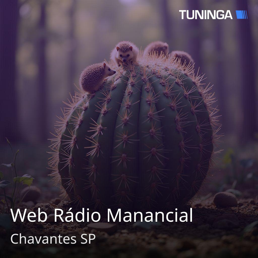 Web Rádio Manancial