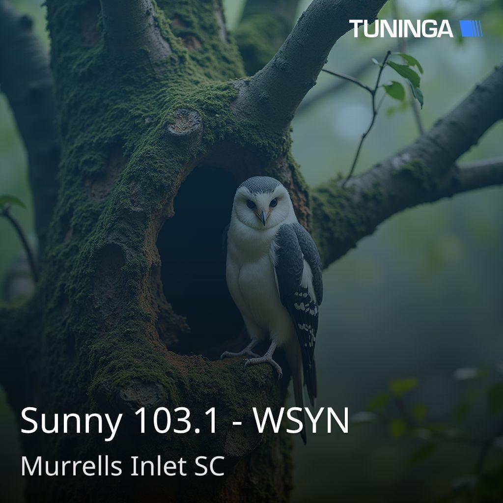 Sunny 103.1 - WSYN