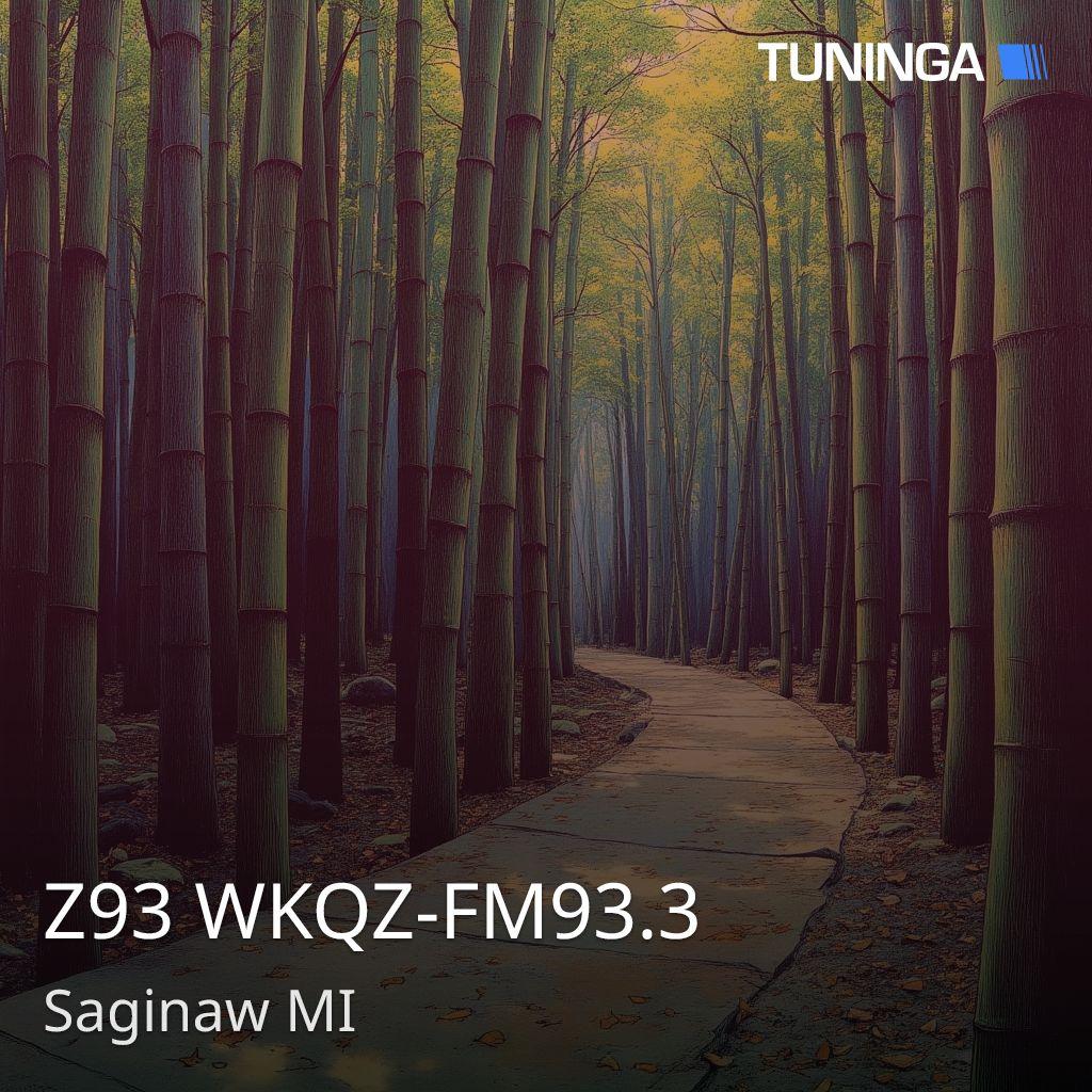Z93 WKQZ-FM93.3