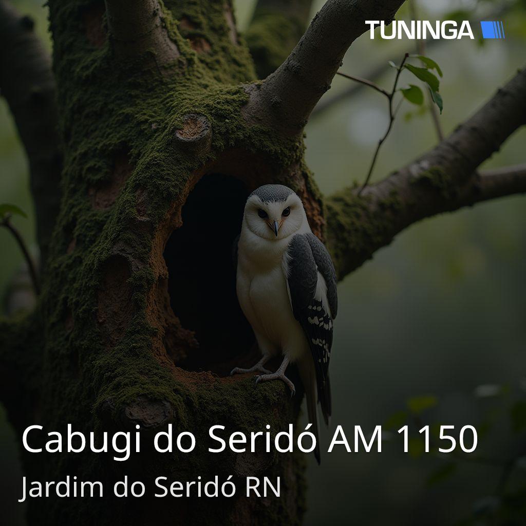 Cabugi do Seridó AM 1150