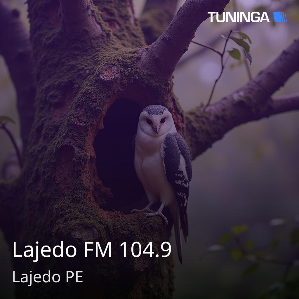 Lajedo FM 104.9