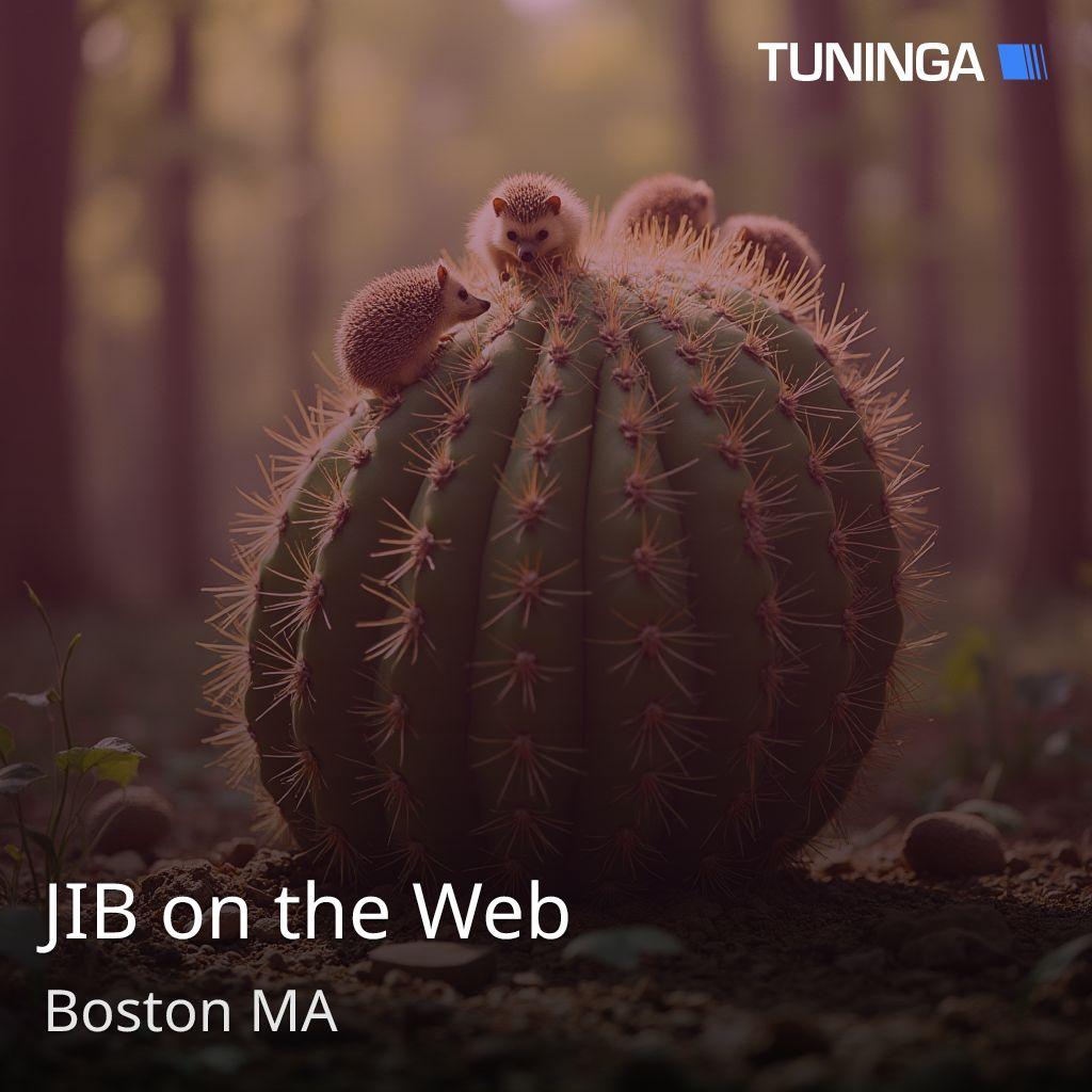 JIB on the Web