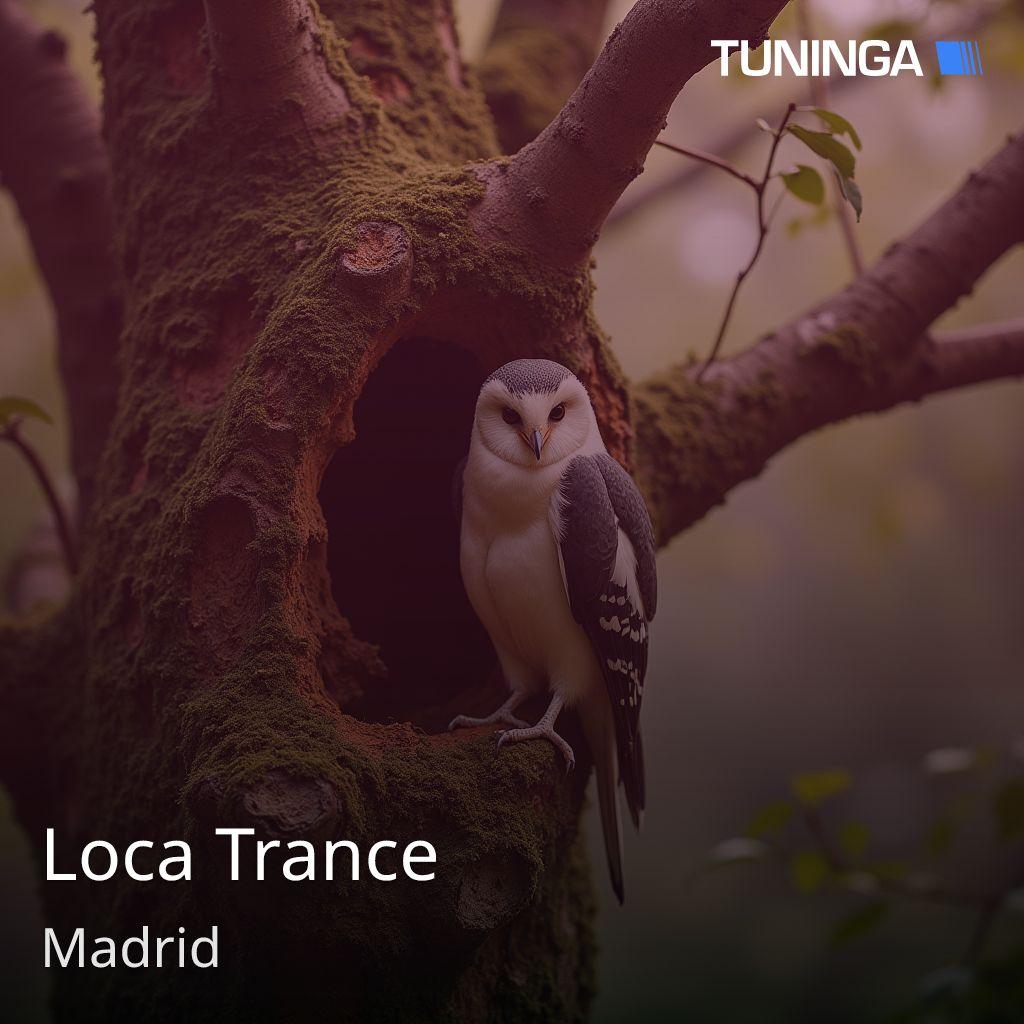Loca Trance