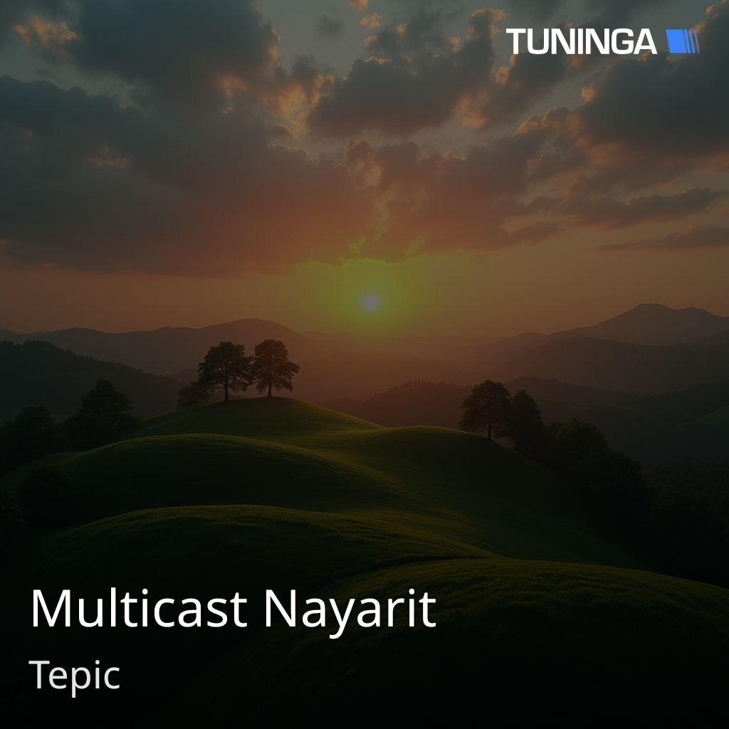 Multicast Nayarit