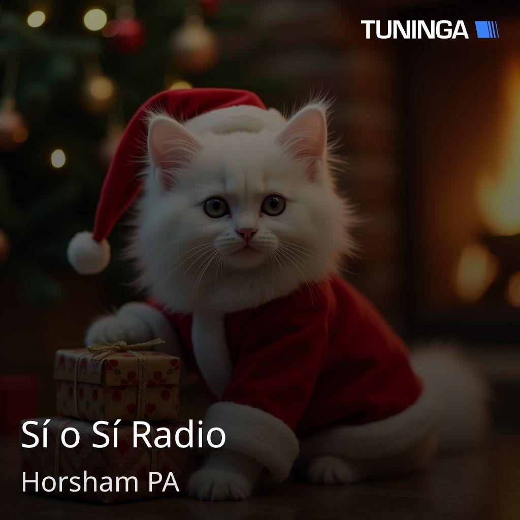 Sí o Sí Radio