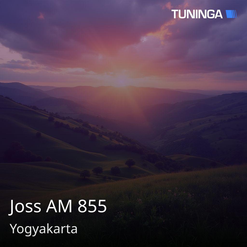 Joss AM 855