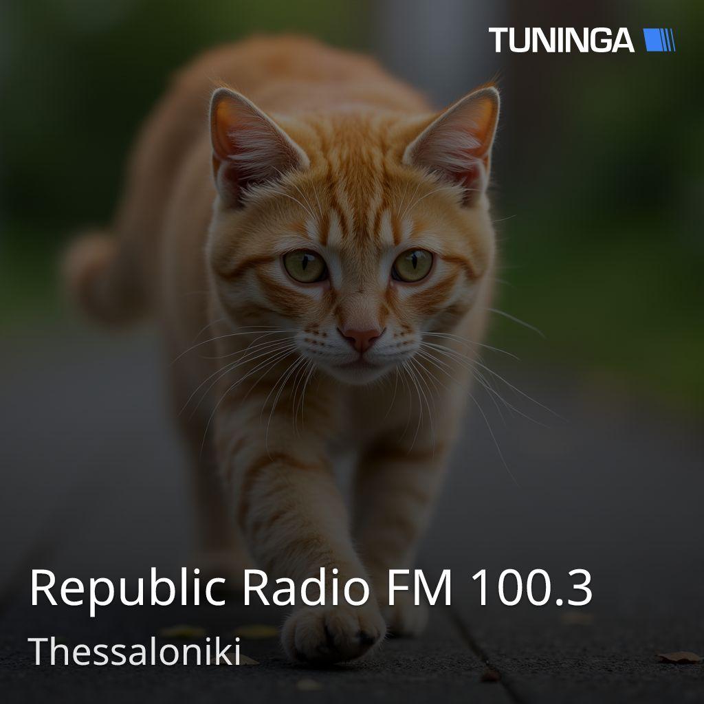 Republic Radio FM 100.3