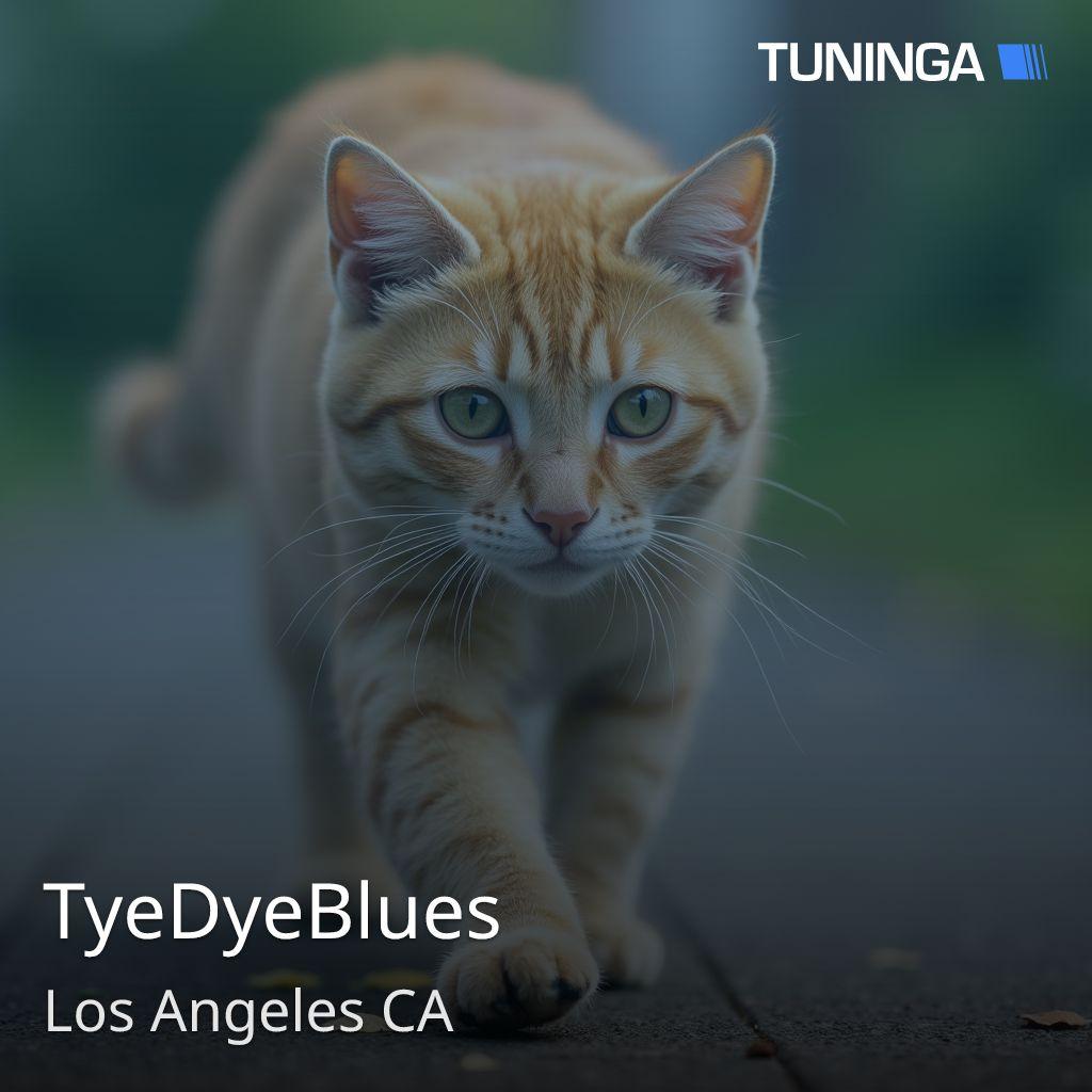 TyeDyeBlues