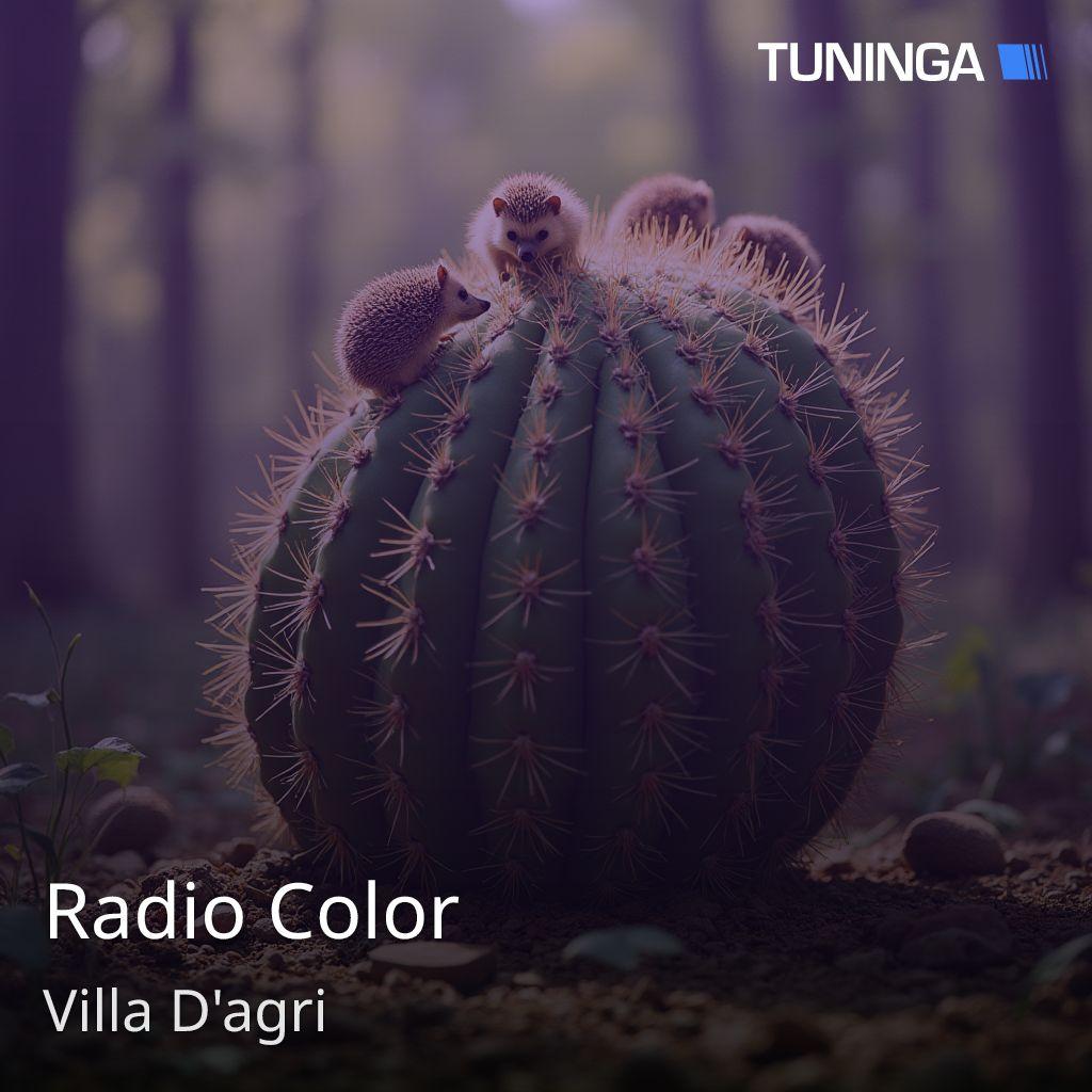 Radio Color