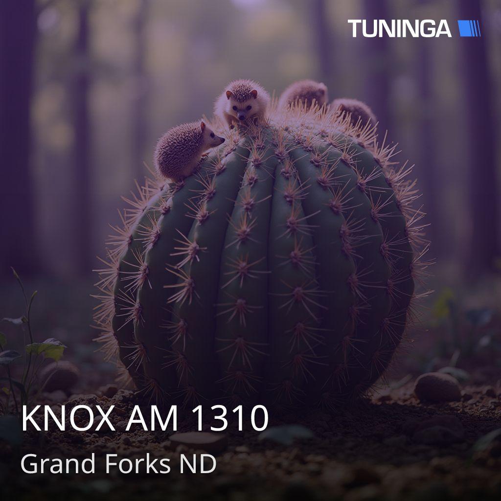 KNOX AM 1310