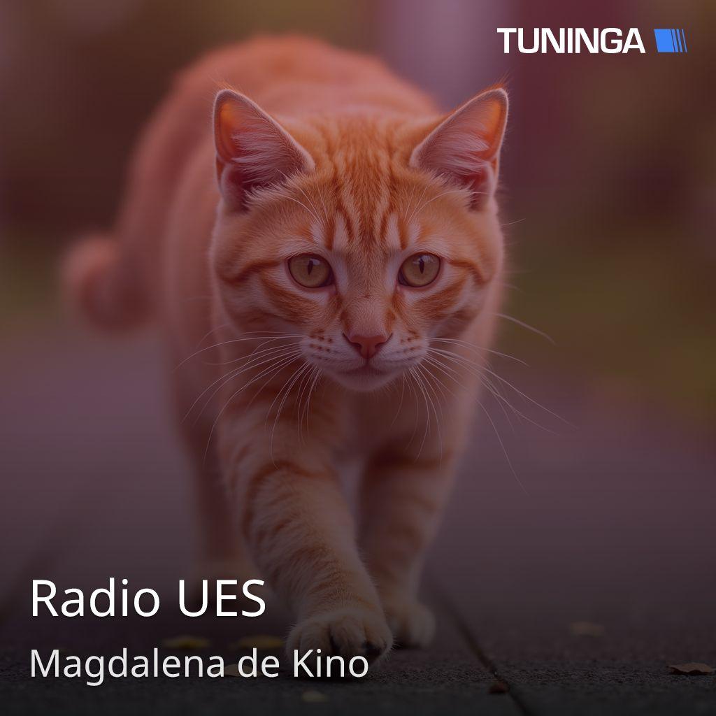 Radio UES