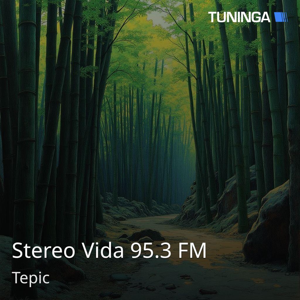 Stereo Vida 95.3 FM