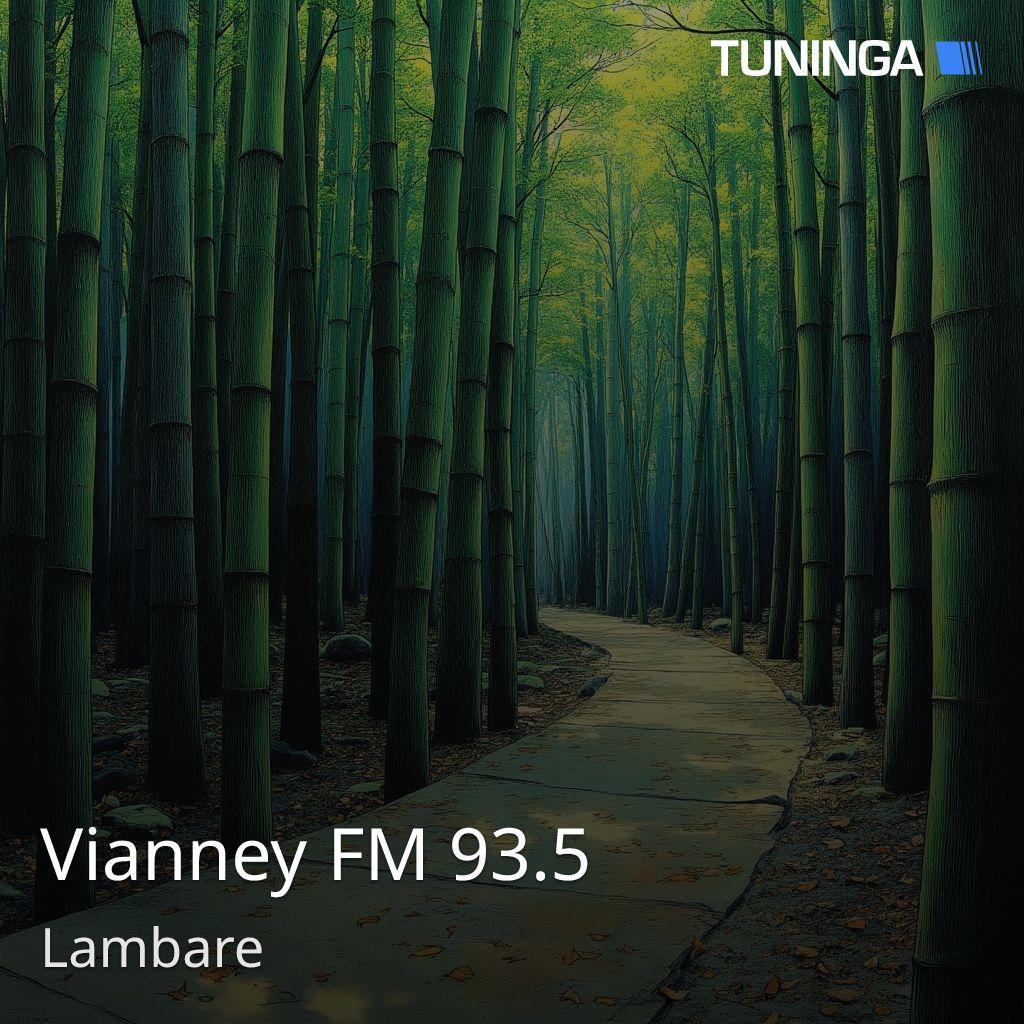 Vianney FM 93.5