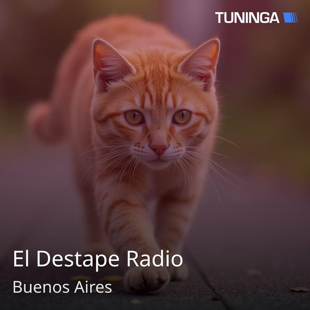 El Destape Radio