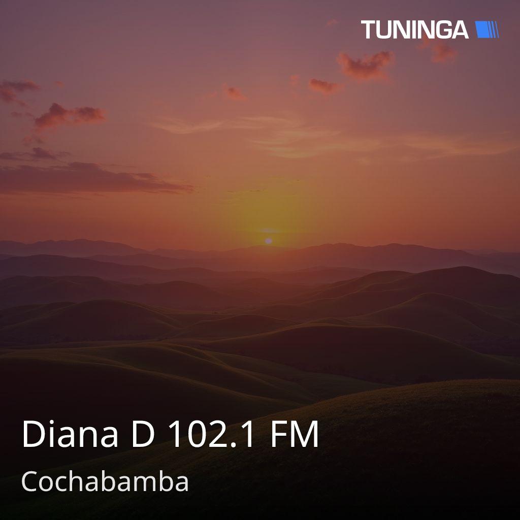 Diana D 102.1 FM