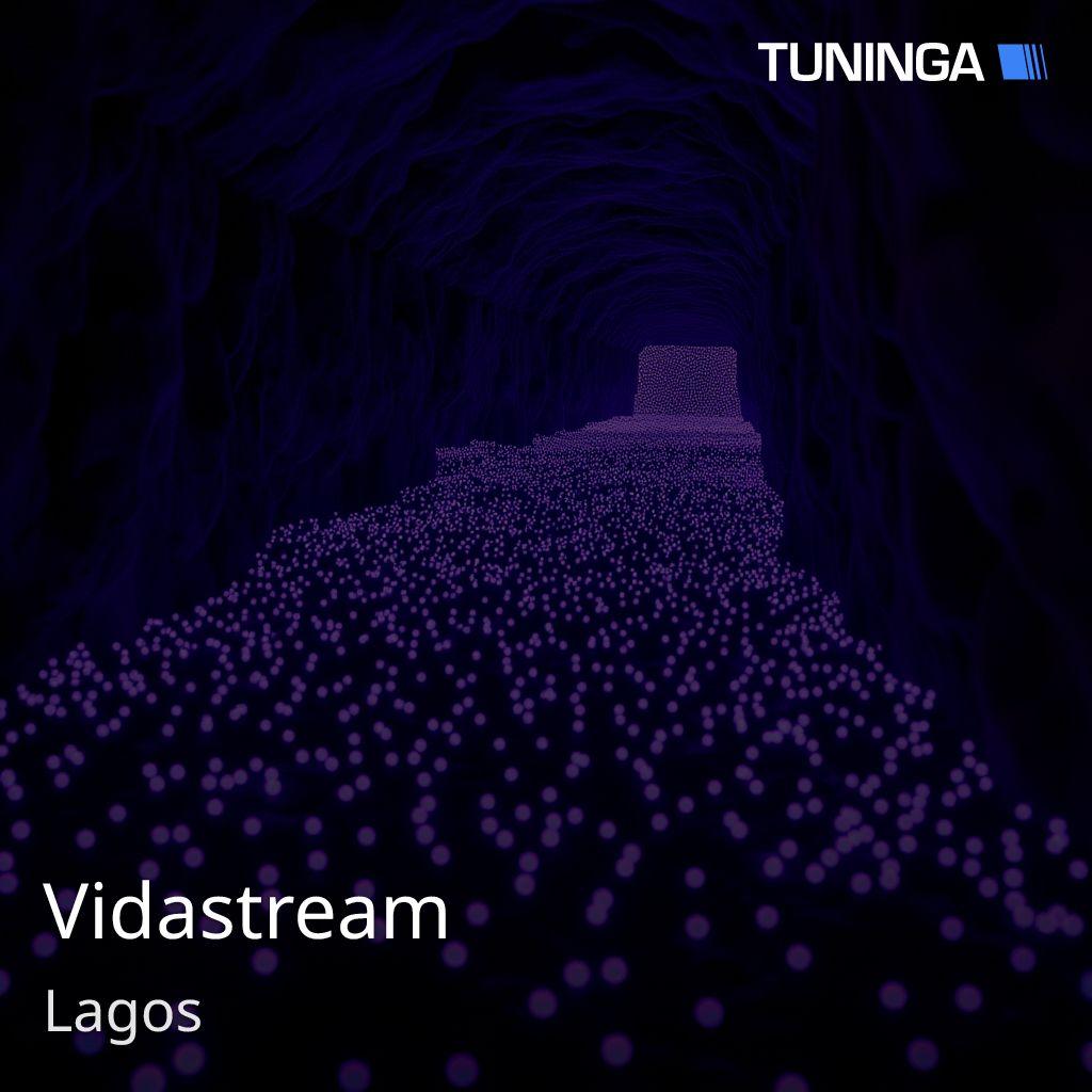 Vidastream