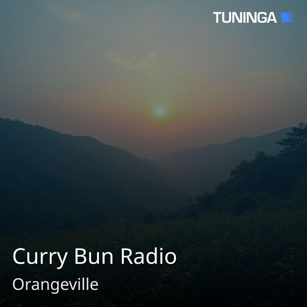Curry Bun Radio