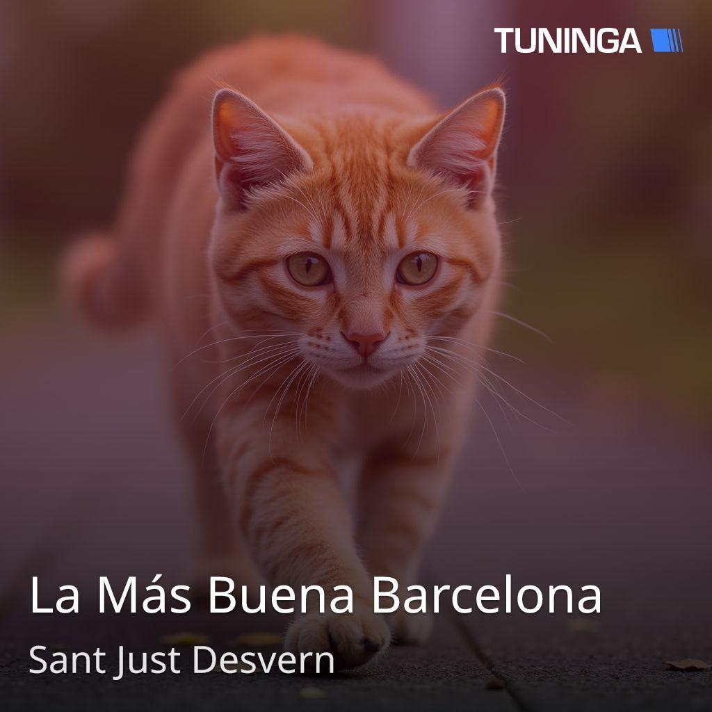 La Más Buena Barcelona