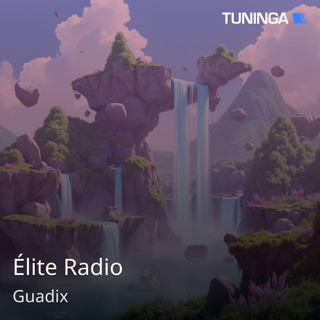 Élite Radio