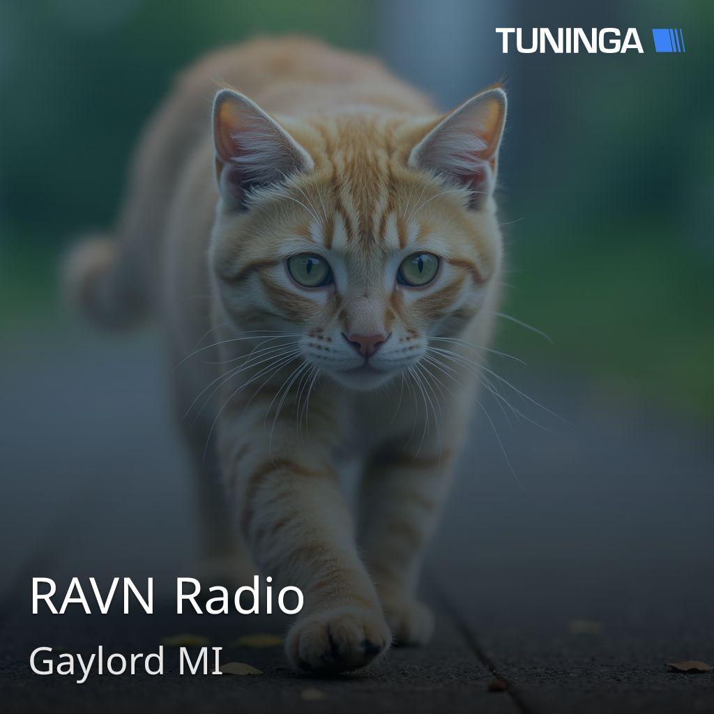 RAVN Radio