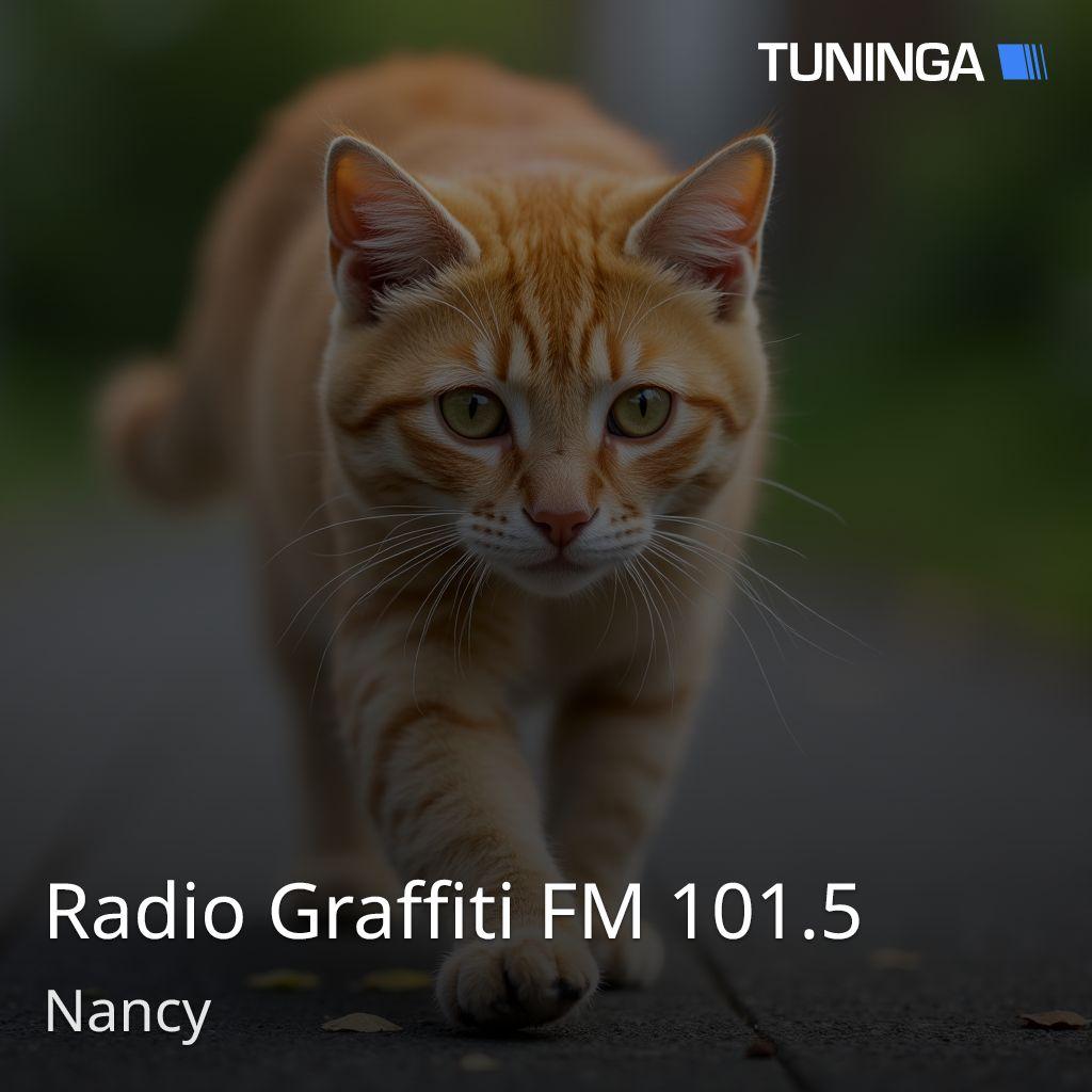 Radio Graffiti FM 101.5