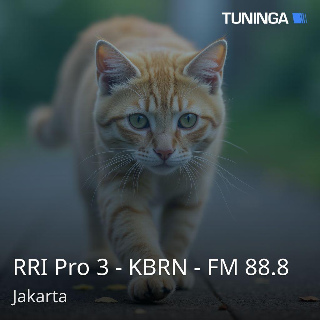 RRI Pro 3 - KBRN - FM 88.8