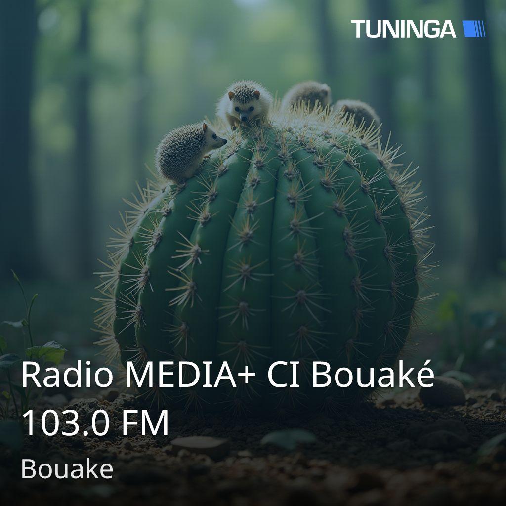 Radio MEDIA+ CI Bouaké 103.0 FM