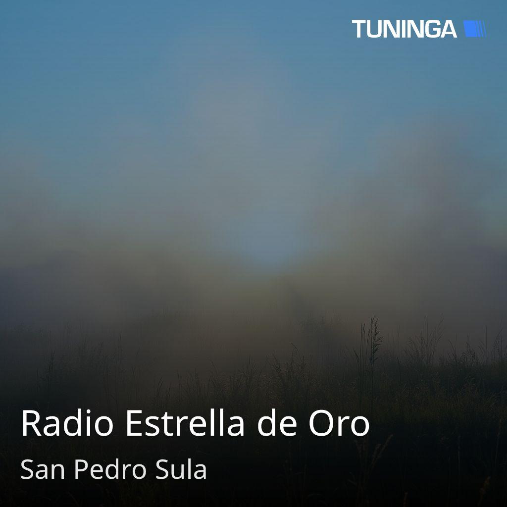 Radio Estrella de Oro