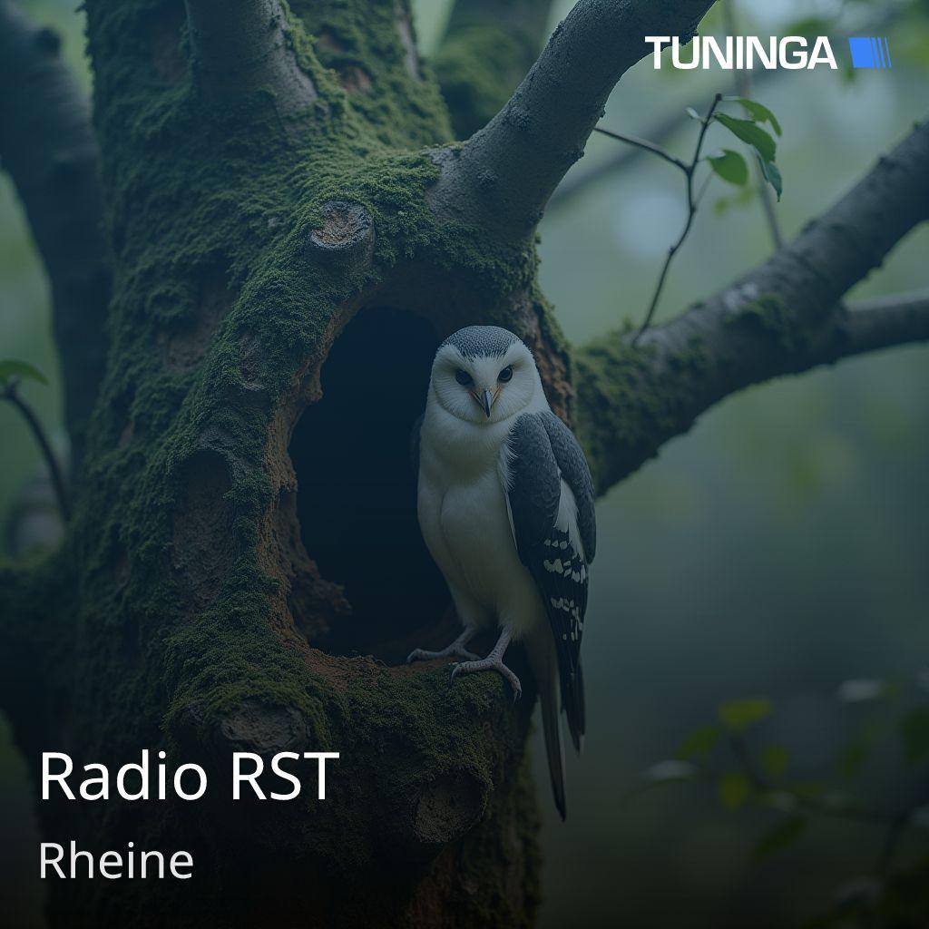 Radio RST