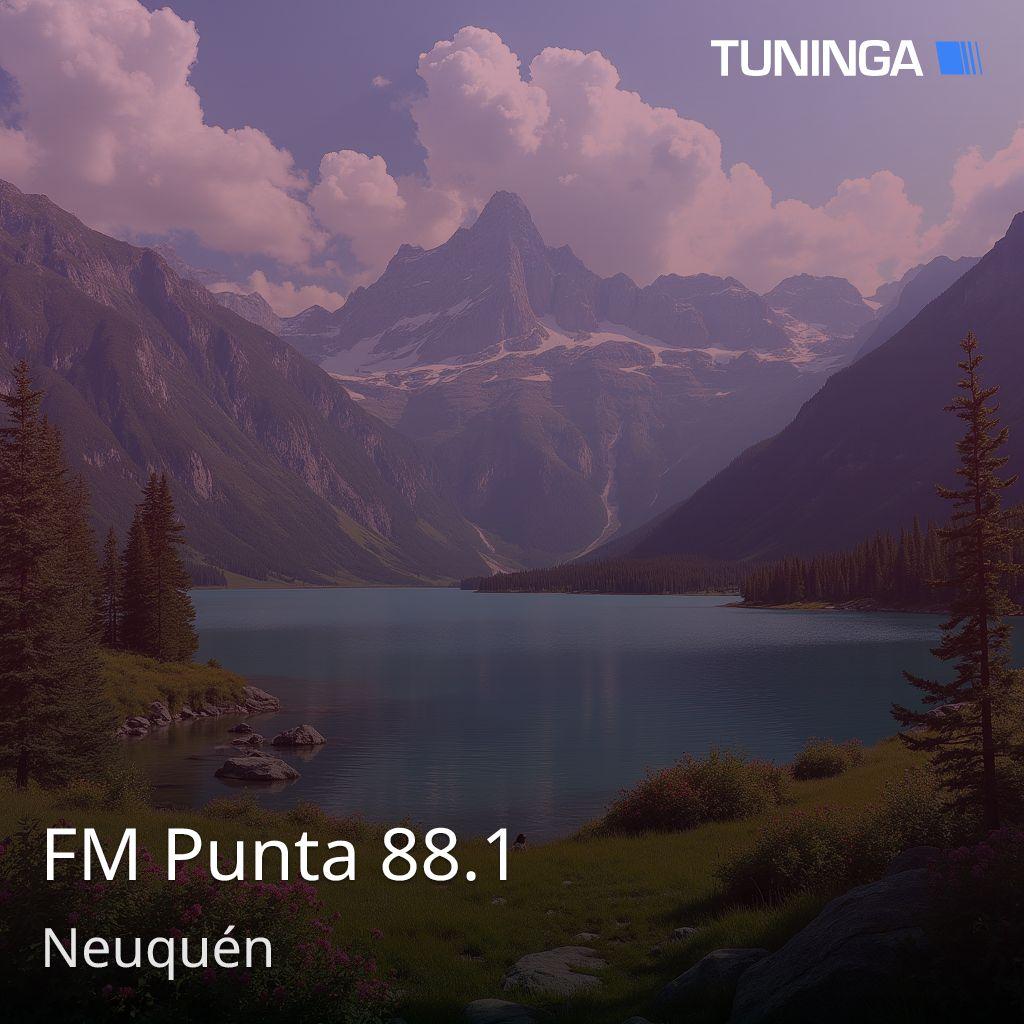 FM Punta 88.1