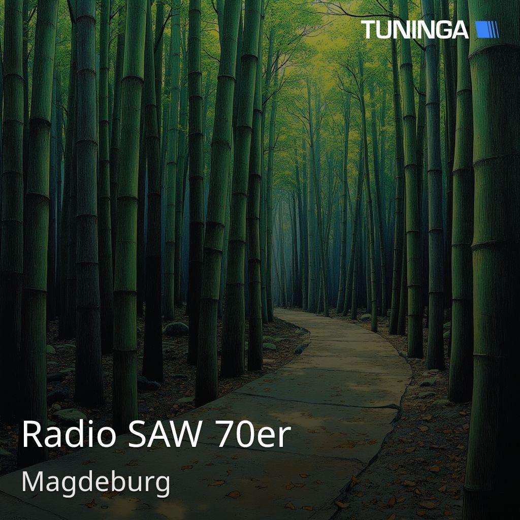 Radio SAW 70er